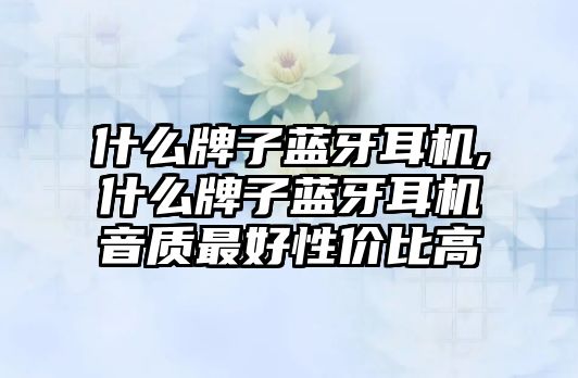 什么牌子藍(lán)牙耳機(jī),什么牌子藍(lán)牙耳機(jī)音質(zhì)最好性價比高