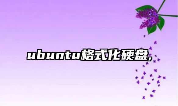 ubuntu格式化硬盤,