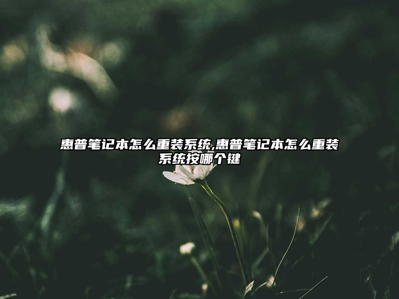 惠普筆記本怎么重裝系統(tǒng),惠普筆記本怎么重裝系統(tǒng)按哪個(gè)鍵