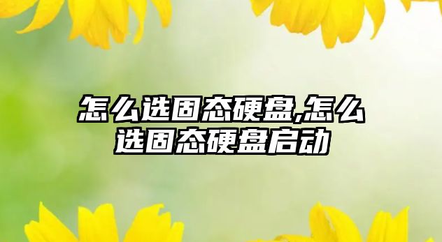 怎么選固態硬盤,怎么選固態硬盤啟動