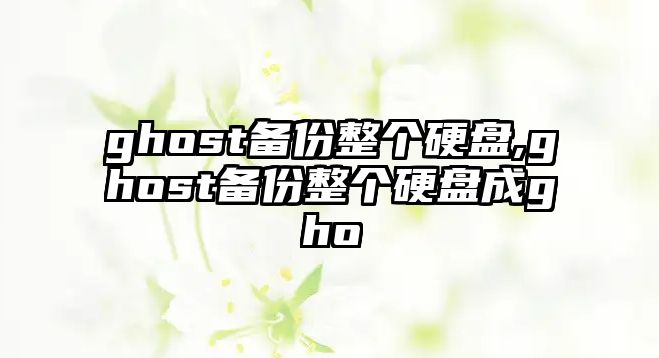 ghost備份整個硬盤,ghost備份整個硬盤成gho