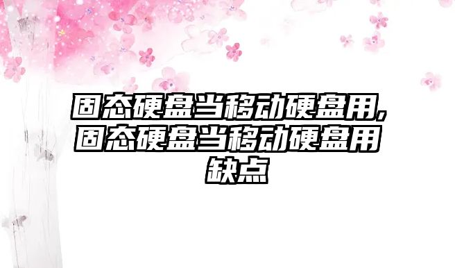 固態硬盤當移動硬盤用,固態硬盤當移動硬盤用 缺點