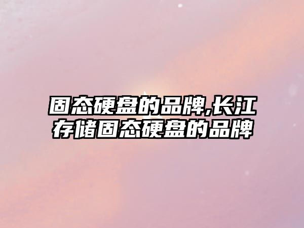 固態硬盤的品牌,長江存儲固態硬盤的品牌