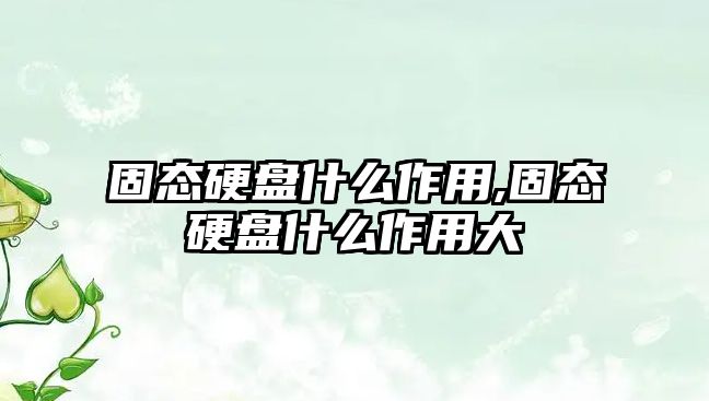 固態硬盤什么作用,固態硬盤什么作用大