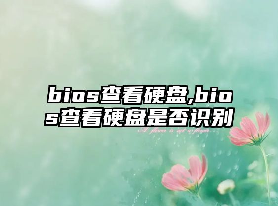 bios查看硬盤,bios查看硬盤是否識別