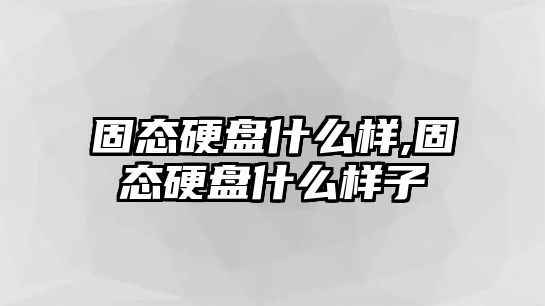 固態硬盤什么樣,固態硬盤什么樣子