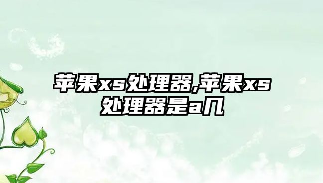 蘋(píng)果xs處理器,蘋(píng)果xs處理器是a幾