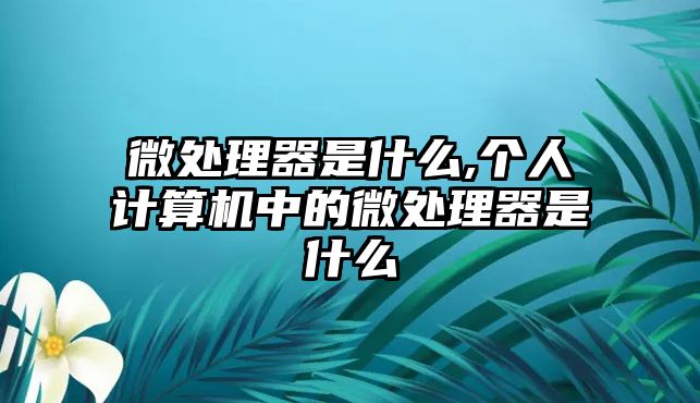 微處理器是什么,個人計算機中的微處理器是什么