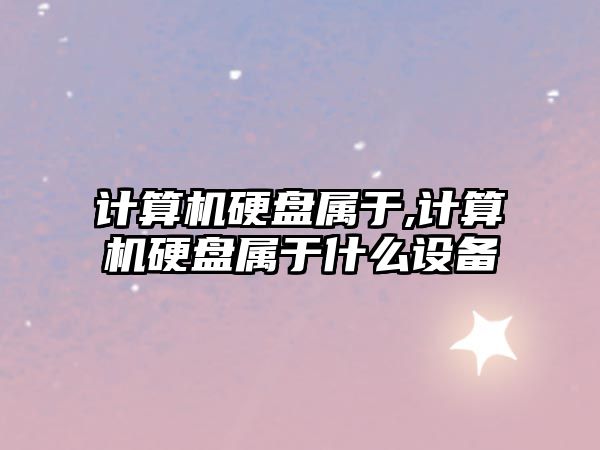 計算機硬盤屬于,計算機硬盤屬于什么設備