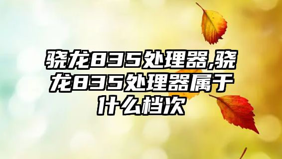 驍龍835處理器,驍龍835處理器屬于什么檔次